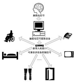 脑肌电多设备集成系统的接口硬件设计与信息系统集成服务
