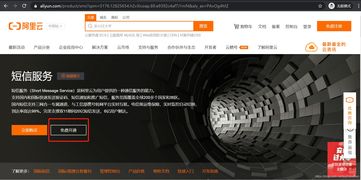 集成阿里短信服务 信息系统集成服务的关键环节