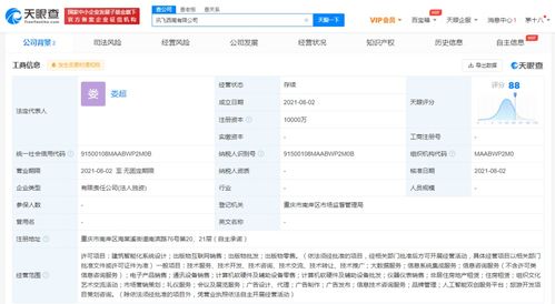 信息系统集成服务的全面解析